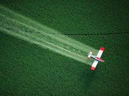 What the eu is doing. Are Pesticides In Foods Harming Your Health