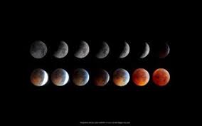 This hd wallpaper was upload at january 31, 2018 upload by roxanne j. Total Lunar Eclipse Of 2010 Space Wallpaper Nasa Wallpapers Skywatching Photos Lunar Eclipses Solar Eclipses Space