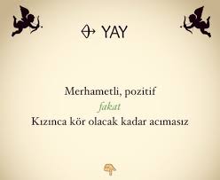 Bir Burc Insani Bu Kadar Tarif Edebilir Yay Burcu Burclar Gercekler