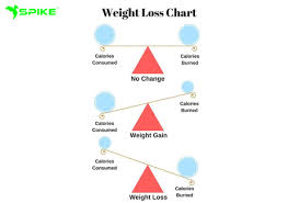 Image result for Energy Deficit Calculation