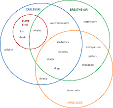 A diagram is a symbolic representation of information using visualization techniques. What Is A Venn Diagram With Examples Edrawmax Online