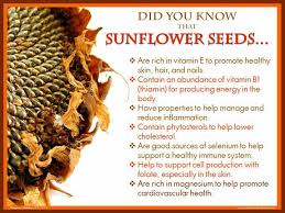 Sunflower Seed Benefits Sunflowerseeds Nutrition Sunflowerpower Sunflower Seeds Benefits Seeds Benefits Fruit Benefits