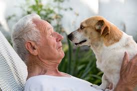 7 Ways Pets Can Help with Healthy Aging - The Zebra-Good News in Alexandria