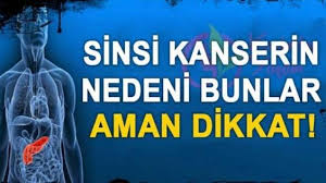 Bu Yaziyi Okuduktan Sonra Cok Daha Iyi Anlayacaksiniz Kanserin Asil Sebebinin Kendimiz Oldugunu Hayatinda Hep Seker Oldu Saglik Saglikli Yasam Saglikli
