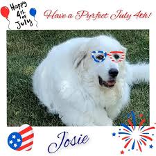 Happy Fourth of July from peanut my mommy calls me boo bear though￼