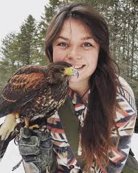 A visiting hawk might just be the answer to bird problems