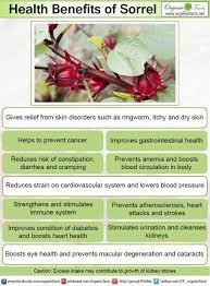 Health Benefits Of Sorrel Organic Facts How To Increase Energy Health Benefits Cancer Prevention