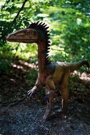 Acolo pot fi admirati 50 de. Informati Utile Rasnov Ce Poti Face In Zona Rasnovului Cazare Rasnov