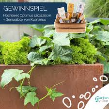 Alle garten freunde werden dieses aktuelle clausthaler gewinnspiel lieben. Gewinnspiel Garten Online