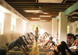 Maybe you would like to learn more about one of these? 8 Best Yoga Studios In Tampa Bay Unation