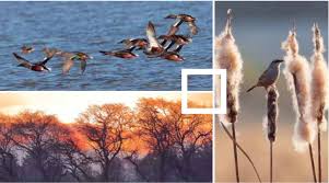 El Bordo Las Maravillas