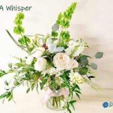 We are a full service florist in cary, nc. Send Ranunculus Cary Nc Flower Delivery Bloomnation