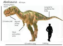 Maybe you would like to learn more about one of these? 10 Dinosaurus Karnivora Terkenal Selain Tyrannosaurus Rex