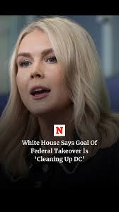 White House Press Secretary Karoline Leavitt said that the decision for the  federal government to take control of the DC police is to make sure that  "we are removing as many criminals from the street, ...