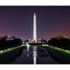 Washington dc at night with blooming cherry blossoms and the washington monument in the background washington dc at night with blooming. Https Encrypted Tbn0 Gstatic Com Images Q Tbn And9gctsfhacv Nzcamameyc92rulhapjjh8cqrht9asjp3azihhkvcz Usqp Cau