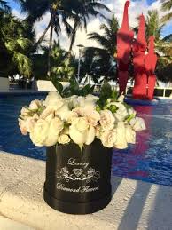 Maybe you would like to learn more about one of these? Flowers Delivery Miami South Beach Picture Of Miami Beach Florida Tripadvisor