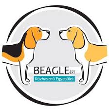 We did not find results for: Beagle Fajtamentes Beagleszeged Profil Pinterest