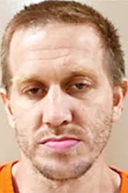 School district hires forester