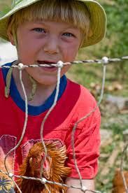 STEWARDS:: July 2010