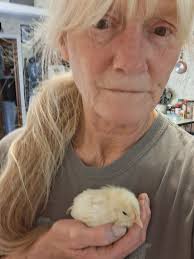 speaking up for sick chickens at local farm store