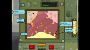 Heroin Effects On Nervous System Mouse Party Youtube