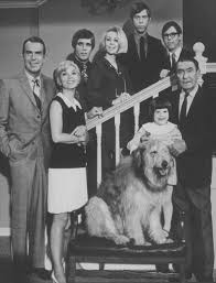 Peoplequiz Trivia Quiz My Three Sons Funny 60s Sitcom My Three Sons Tv Shows 60s Sitcoms