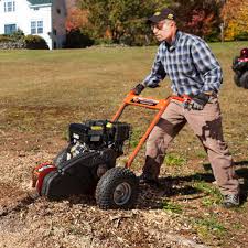Stump Grinder Premier Model Stump Grinder Stump Removal Dr Stump Grinder