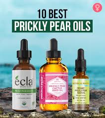 This gentle yet powerful ingredient in skincare products is loaded with vitamin e, k the inika bb cream has organic prickly pear seed oil along with pomegranate, avocado and jojoba oils to hydrate skin while providing awesome coverage like a. 10 Best Prickly Pear Oils For Gorgeous Skin 2020