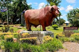 We have reviews of the best places to see in rockhampton. 10 Best Things To Do In Rockhampton Qld The Big Bus