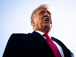 Meet the 8 Georgia Investigators Hot