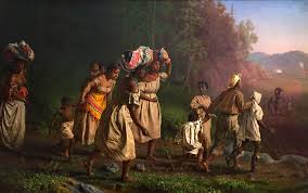 La estrella de la libertad - Cósmica