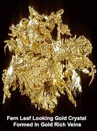 Huge selection at great low prices. Monatomic Colloidal Gold 3000 To 18000 Ppm