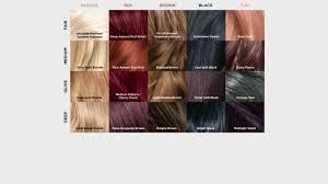 Loreal Blonde Hair Dye Color Chart Hair Coloring