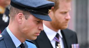 Prince William Through the Years