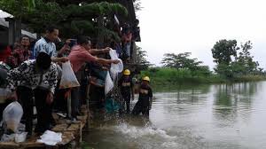 Nama telaga rowo bayu banyuwangi pun sempat ramai diperbincangkan setelah kkn desa penari viral. Kelompok Nelayan Waduk Gunung Rowo Minta Benih Ikan Ditambah Tribun Jateng