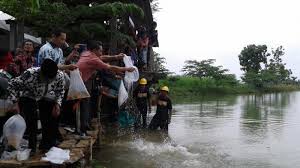 See more of wisata gunung rowo on facebook. Kelompok Nelayan Waduk Gunung Rowo Minta Benih Ikan Ditambah Tribun Jateng