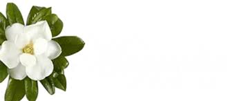 Image result for magnolia genia