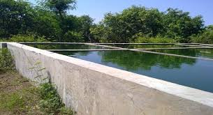 Biaya Pembuatan Kolam Beton Untuk Perikanan Info Perikanan