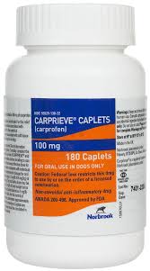 carprieve carprofen for dogs norbrook labs safe pharmacy