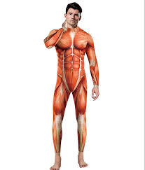 Weird quirks and all, the human body is a a bewildering machine. Men Women Human Body Muscle Structure Tissue Printing Jumpsuit Human Torso Anatomy Medical Science Supply Teaching Appliance Medical Science Aliexpress