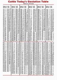 Gestation Table For Cattle It S Still A Good Estimate Even Though A Lowline S Gestation Period Is Only 270 Days Dairy Cattle Dairy Cows Cattle