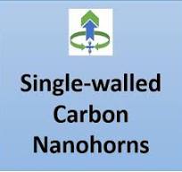Single-walled Carbon Nanohorns - 200 mg