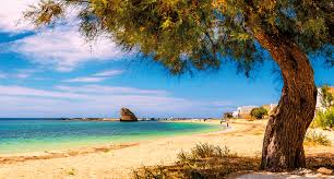 Sardinia's strong family values help assure that every member of the family is cared for. All You Need To Know About Sardinia A Place In The Sun