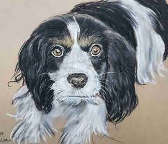 Vintage postcards travel postcards wedding thank you postcards funny postcards australia postcards inspirational quote postcards. Pet Portrait Drawing In Melbourne 59 Dog Sketch Cat Painting By Pet Artist