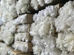 We did not find results for: How The Last Great American Flower Factory Still Blooms Over Midtown Nyc