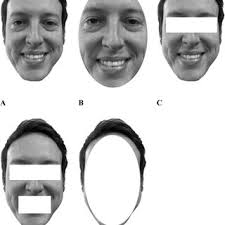 Nicholas O. Rule's research works