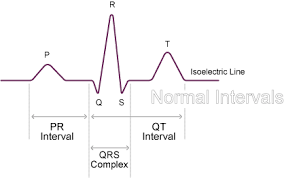 Normal Duration Times - Normal Function of the Heart - Cardiology Teaching  Package - Practice Learning - Division of Nursing - The University of  Nottingham