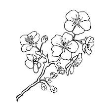 Coussin rectangulaire bleue imprimé de fleurs japonaises. Esquisser Rameau De Fleurs De Sakura Illustration Vectorielle Fleur De Cerisier Dessin Fleur De Cerisier Dessin Fleur