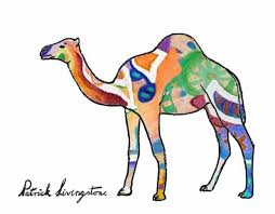 Draw with reference picture | discovery you memorize how the camera is built by drawing it multiple times. How To Draw A Dromedary Camel Step By Step Easy Animals 2 Draw