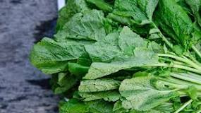 Image result for why mustard leaf not wholesome